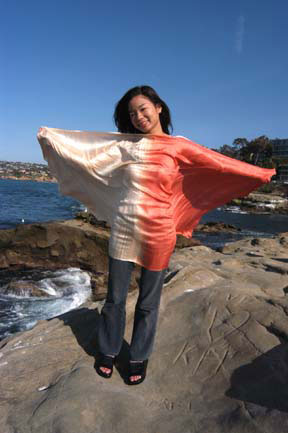 DSC_0301a.jpg (36752 bytes)